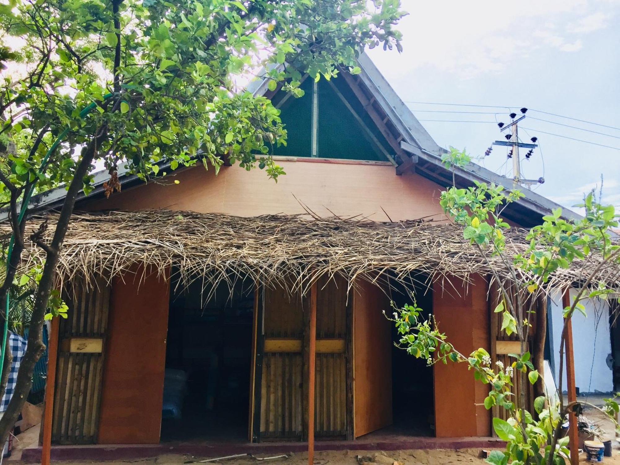 Lemon Tree Hostel Arugam Bay Buitenkant foto