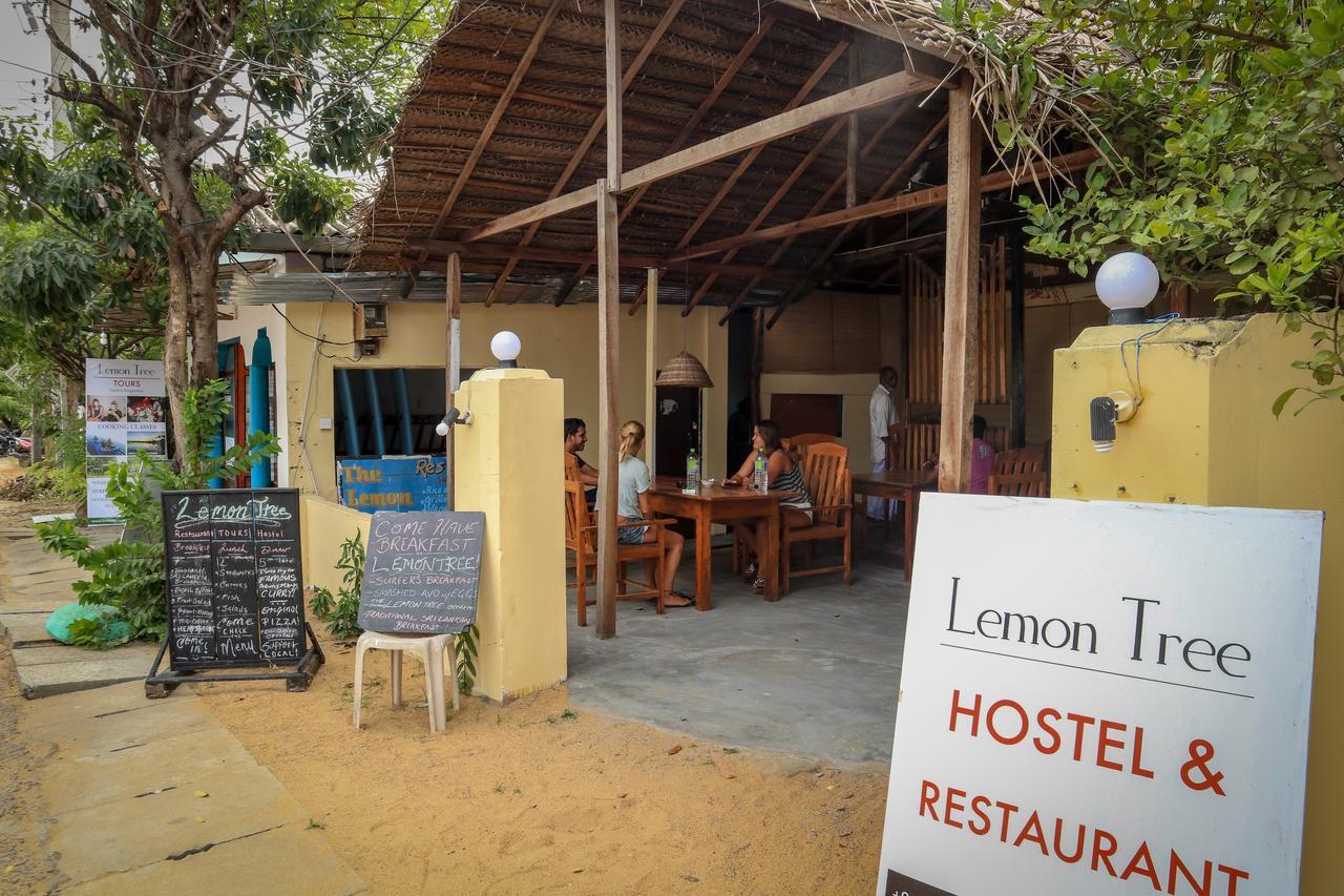 Lemon Tree Hostel Arugam Bay Buitenkant foto