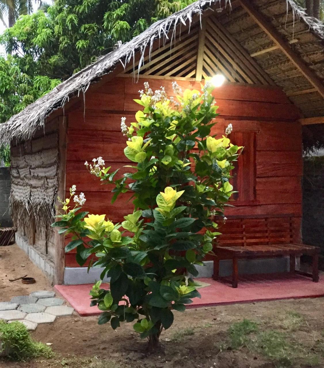 Lemon Tree Hostel Arugam Bay Buitenkant foto