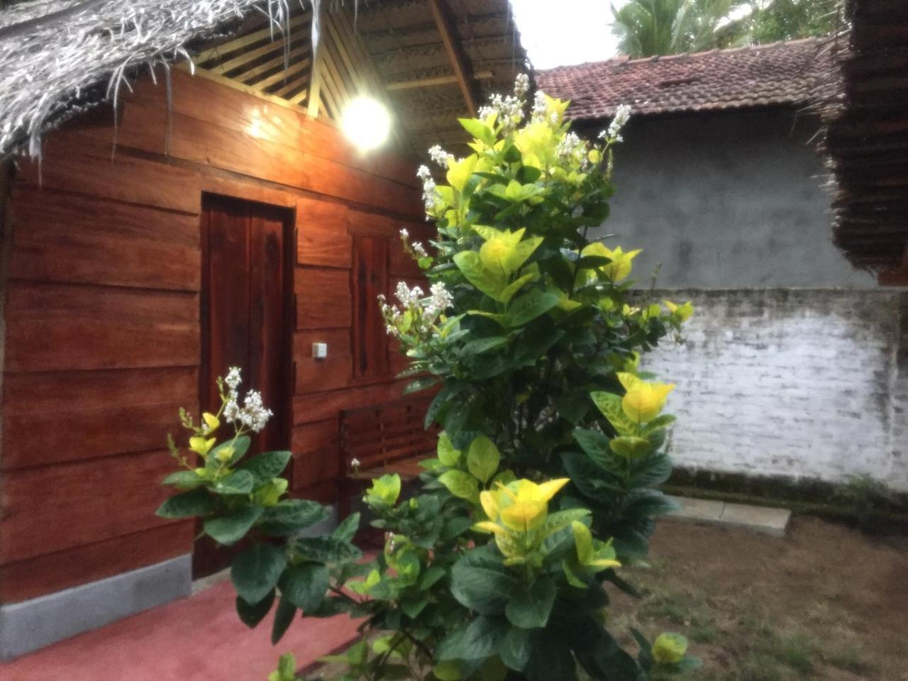 Lemon Tree Hostel Arugam Bay Buitenkant foto